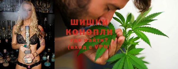 дживик Липки