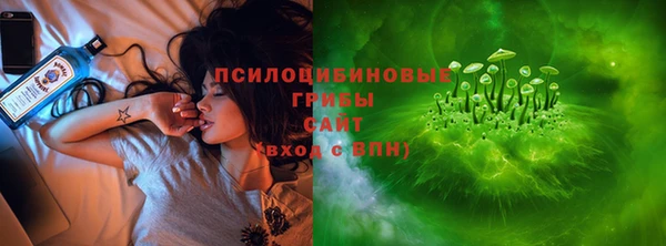 дживик Липки