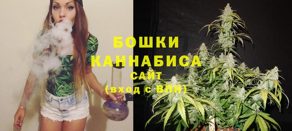 ешки Ладушкин